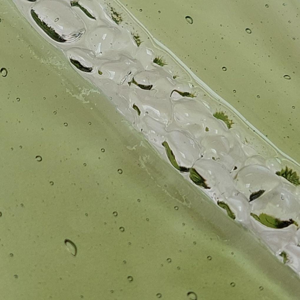 Fern Green Glass Art Wave, Handmade Natural Green Fused Glass Shelf Ornament with Crushed Crystal Clear Glass Accents, Natural Green Décor