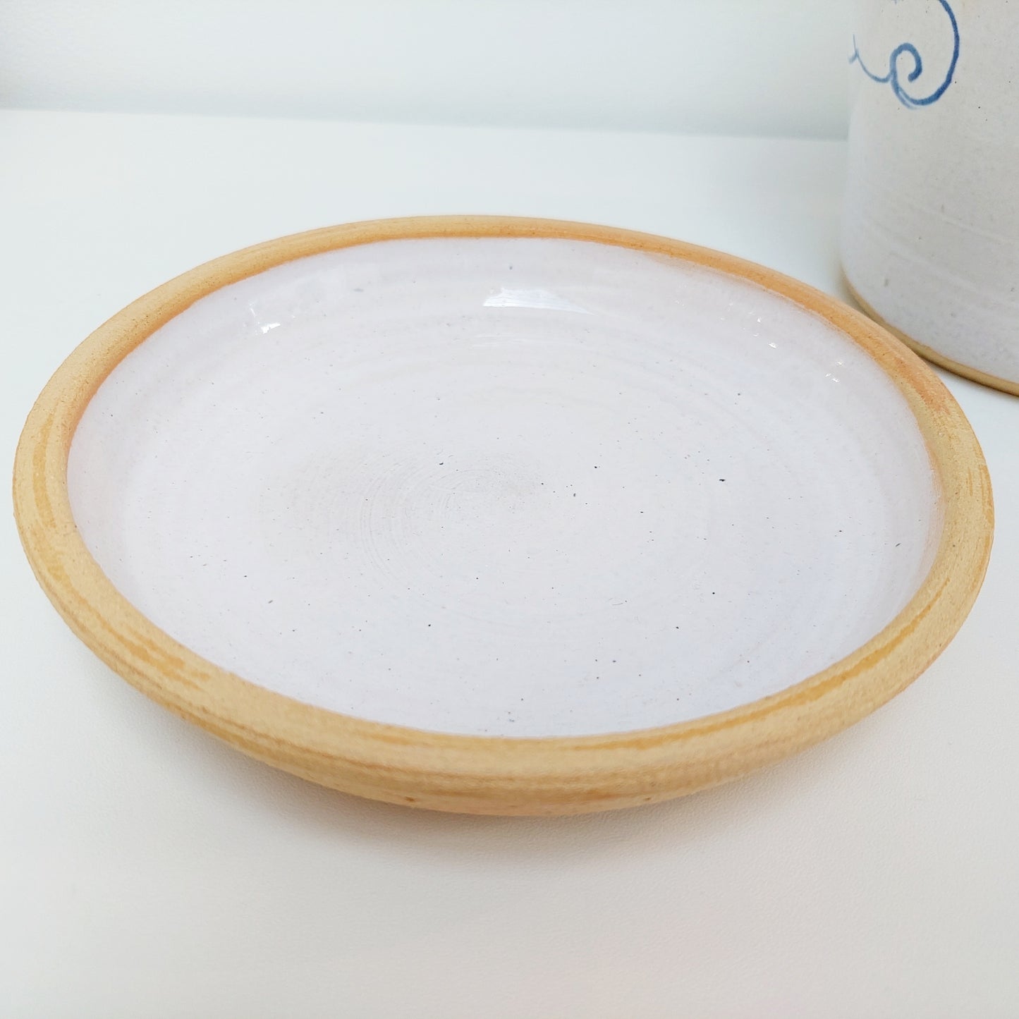 Handcrafted Blue & White Plant Pot with a Dragon Motif